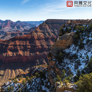 学女脱小内内喷水自慰
